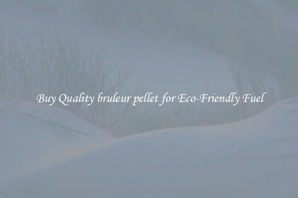 Buy Quality bruleur pellet for Eco-Friendly Fuel