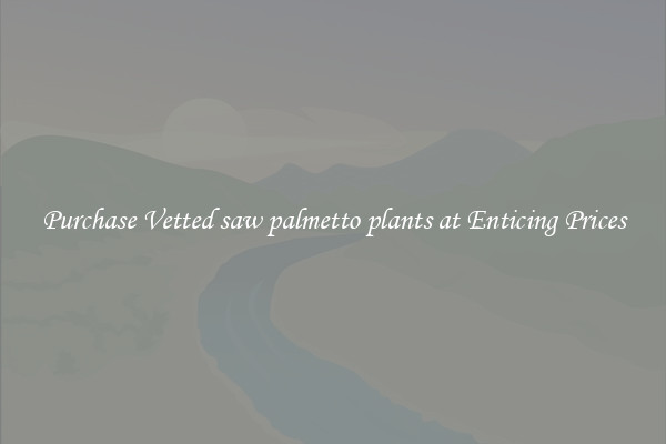 Purchase Vetted saw palmetto plants at Enticing Prices
