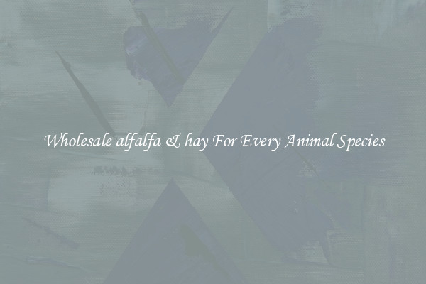 Wholesale alfalfa & hay For Every Animal Species