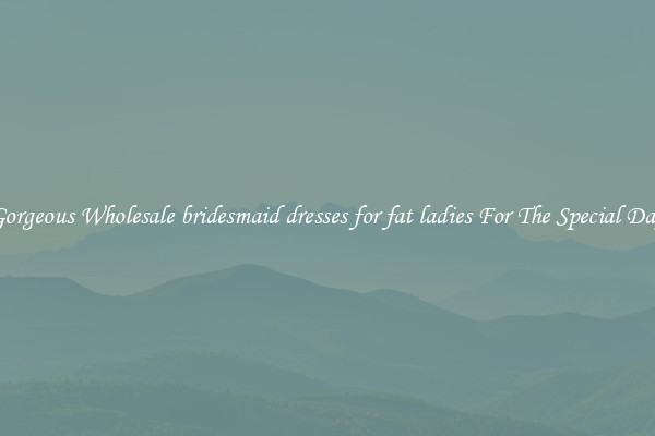 Gorgeous Wholesale bridesmaid dresses for fat ladies For The Special Day