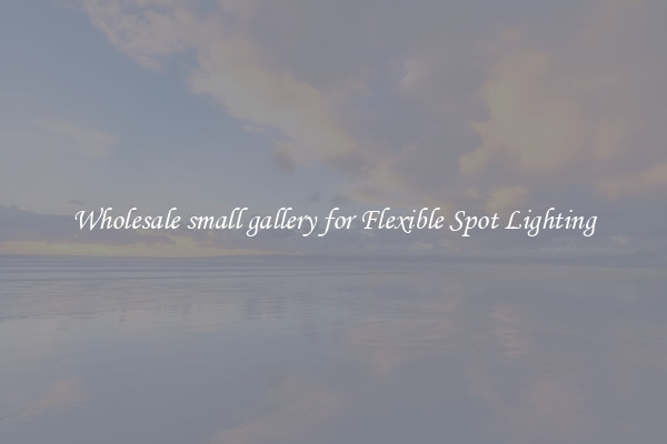 Wholesale small gallery for Flexible Spot Lighting