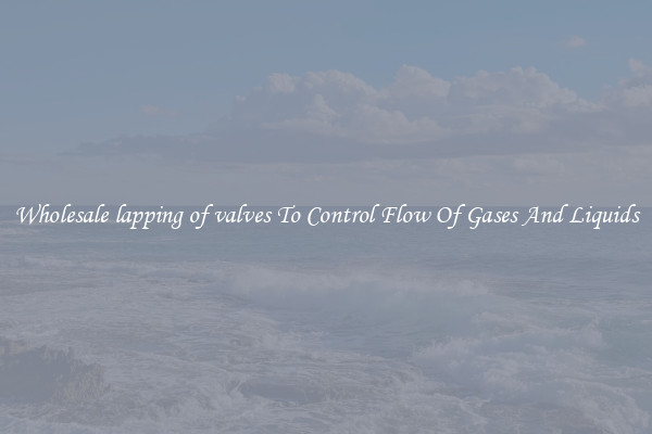 Wholesale lapping of valves To Control Flow Of Gases And Liquids