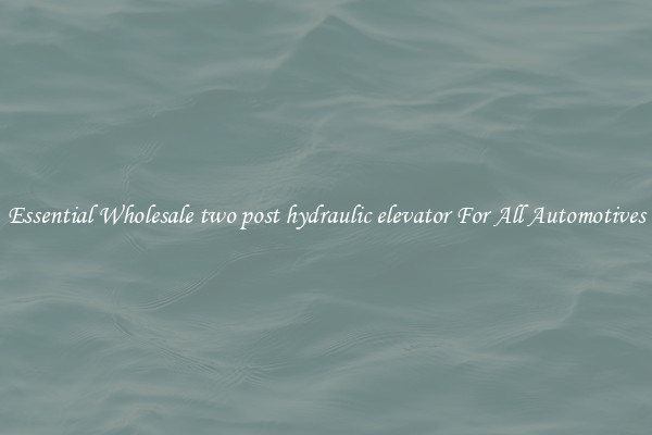 Essential Wholesale two post hydraulic elevator For All Automotives