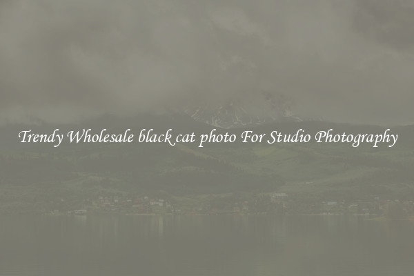 Trendy Wholesale black cat photo For Studio Photography