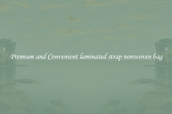 Premium and Convenient laminated strap nonwoven bag