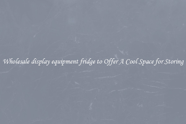 Wholesale display equipment fridge to Offer A Cool Space for Storing