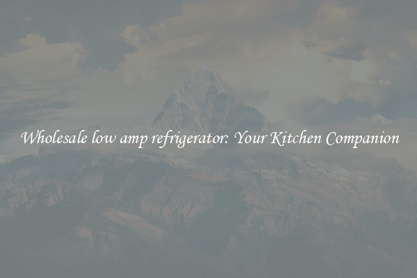 Wholesale low amp refrigerator: Your Kitchen Companion
