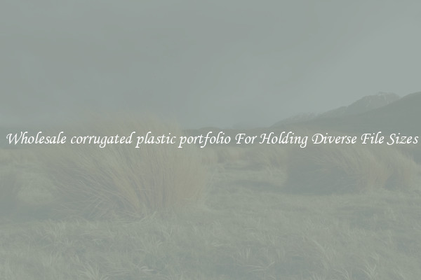 Wholesale corrugated plastic portfolio For Holding Diverse File Sizes