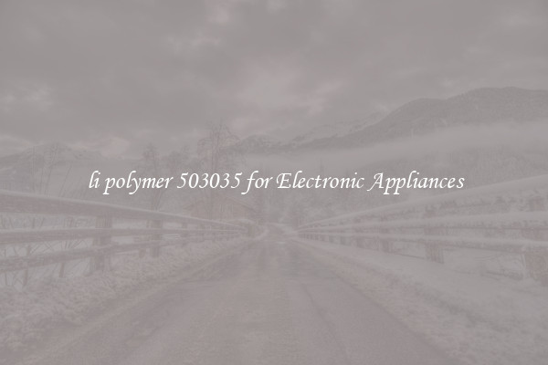 li polymer 503035 for Electronic Appliances