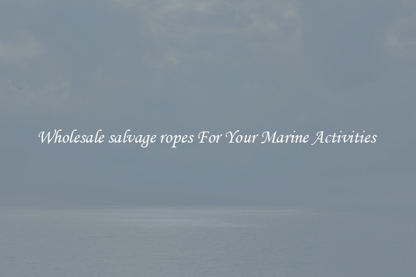 Wholesale salvage ropes For Your Marine Activities 