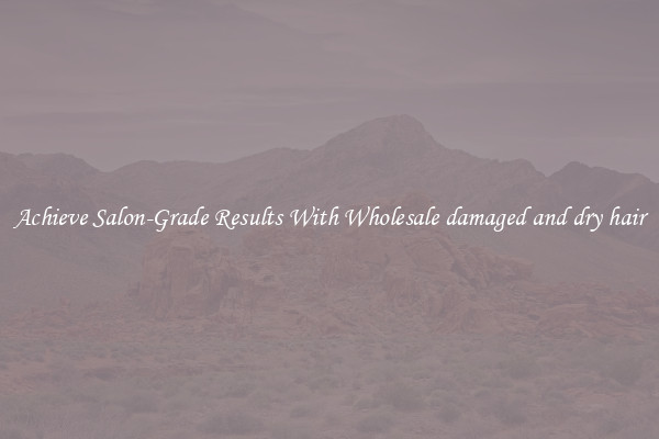 Achieve Salon-Grade Results With Wholesale damaged and dry hair