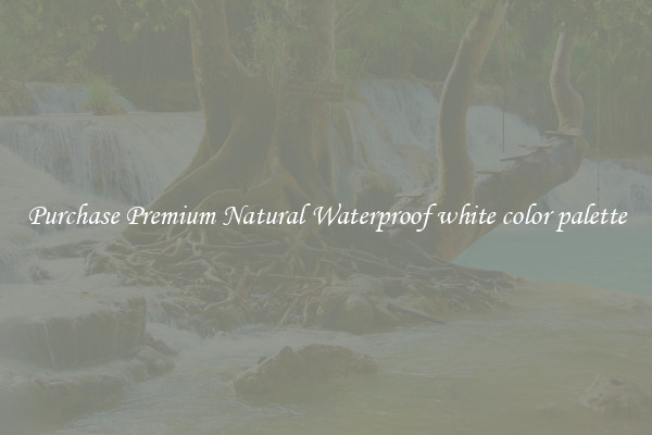 Purchase Premium Natural Waterproof white color palette