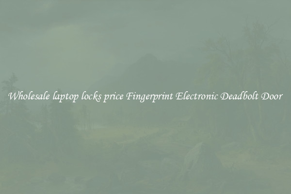 Wholesale laptop locks price Fingerprint Electronic Deadbolt Door 