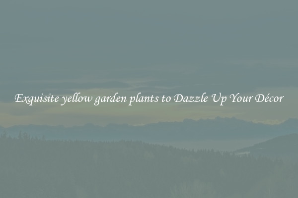 Exquisite yellow garden plants to Dazzle Up Your Décor 