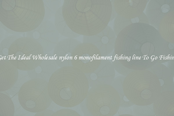 Get The Ideal Wholesale nylon 6 monofilament fishing line To Go Fishing