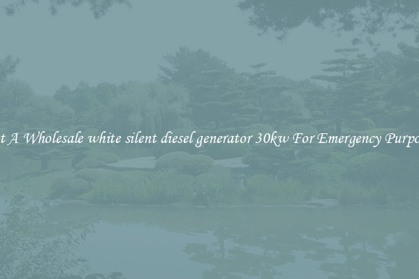 Get A Wholesale white silent diesel generator 30kw For Emergency Purposes