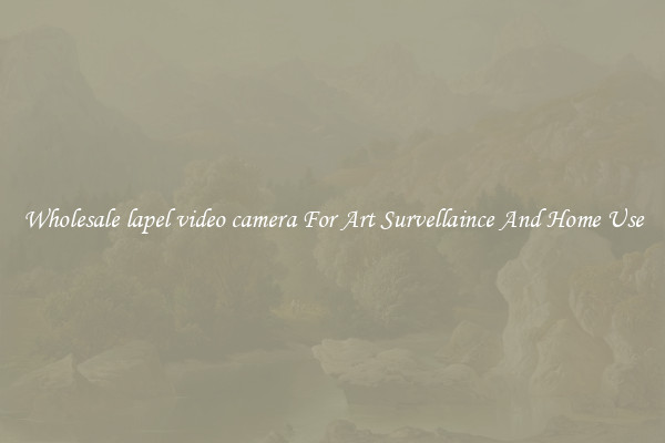 Wholesale lapel video camera For Art Survellaince And Home Use